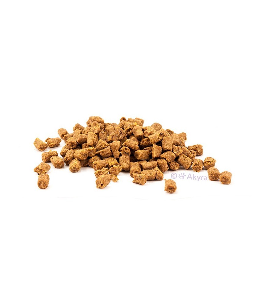 Akyra Trainingshapjes Zalm – Zachte, Omega‑3 Rijke Beloningssnack voor Honden
