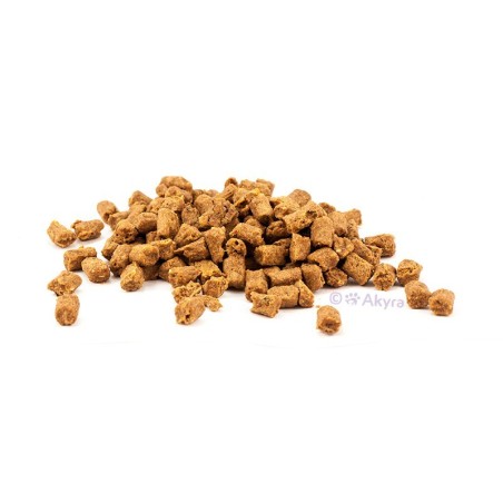 Akyra Trainingshapjes Zalm – Zachte, Omega‑3 Rijke Beloningssnack voor Honden
