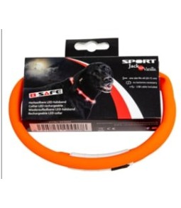 Jack & Vanilla LED Halsband – Oplaadbaar, Helder & Veilig in het Donker